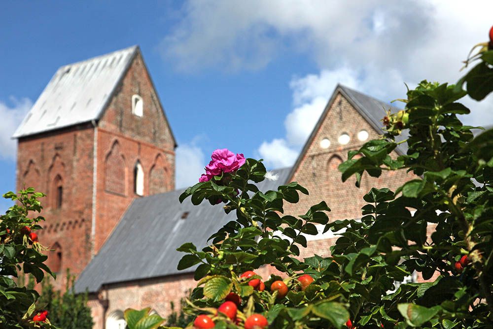 Blick durch Hagebutten auf die Nieblumer St. Johannis Kirche