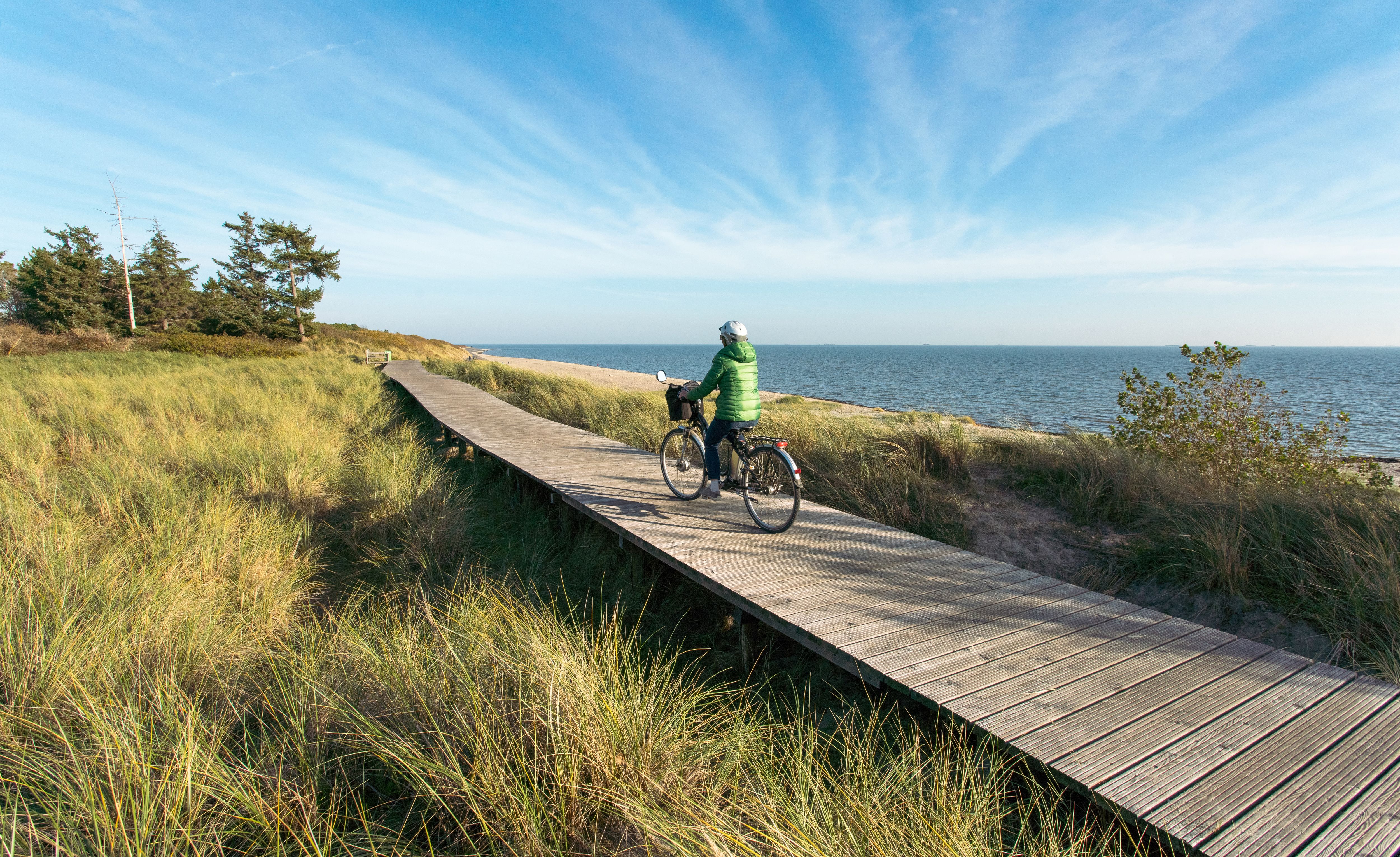 Fahrradfahrer auf dem Bohlenweg in Nieblum auf Föhr